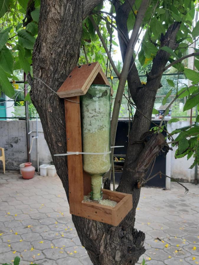 Agsara Home Stay 哥印拜陀 外观 照片